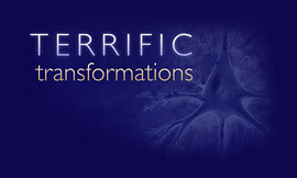 Terrific Transformations